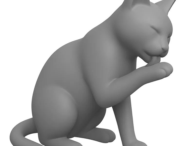 gato