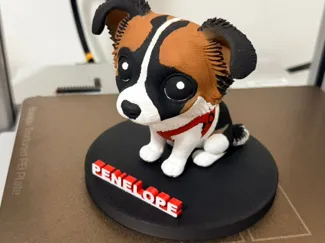 Pet - Dog com nome personalizável