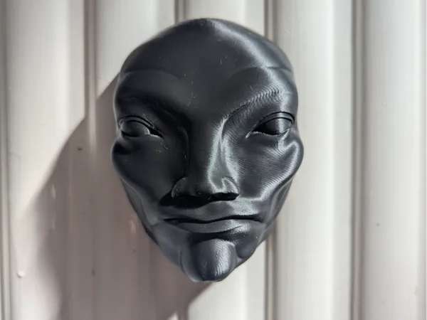 https://makerworld.bblmw.com/makerworld/model/US6c5349a1f37d9d/design/2025-04-01_4543fd76117b2.jpg