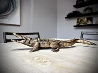 Large - 30in model