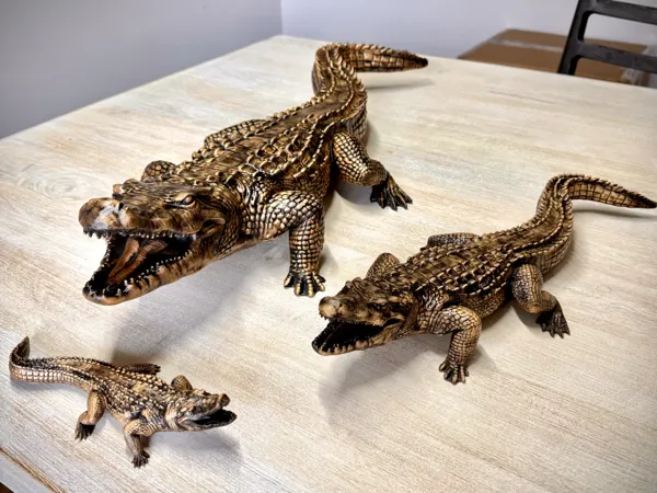 https://makerworld.bblmw.com/makerworld/model/US6c540e91c633c5/design/eff2bf2c1f652cea.jpeg