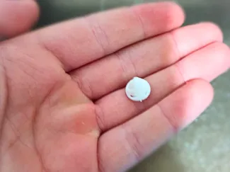 Tiny passthrough fidget
