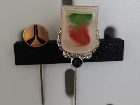 Skadis lapel pin/Needle holder display