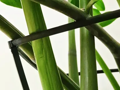 Modular plant support frame