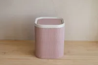 Bin with 2 Lid Options