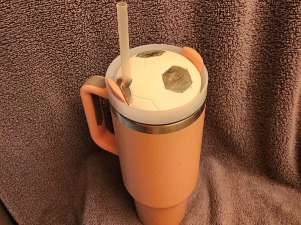 https://makerworld.bblmw.com/makerworld/model/US6c72c8d7166f3b/design/2025-06-09_aae61b416c7758.jpg