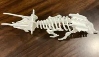 Carte-kit dinosaure Tricératops — photo 10