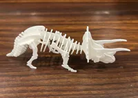Carte-kit dinosaure Tricératops — photo 8