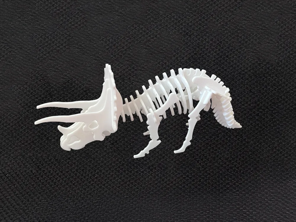 Triceratops Dinosaur Kit Card