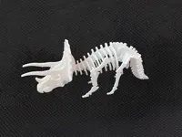 Carte-kit dinosaure Tricératops — photo 5