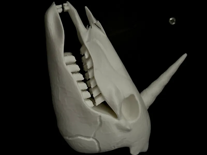 HARRY POTTER TESCHIO UNICORNO SKULL UNICORN