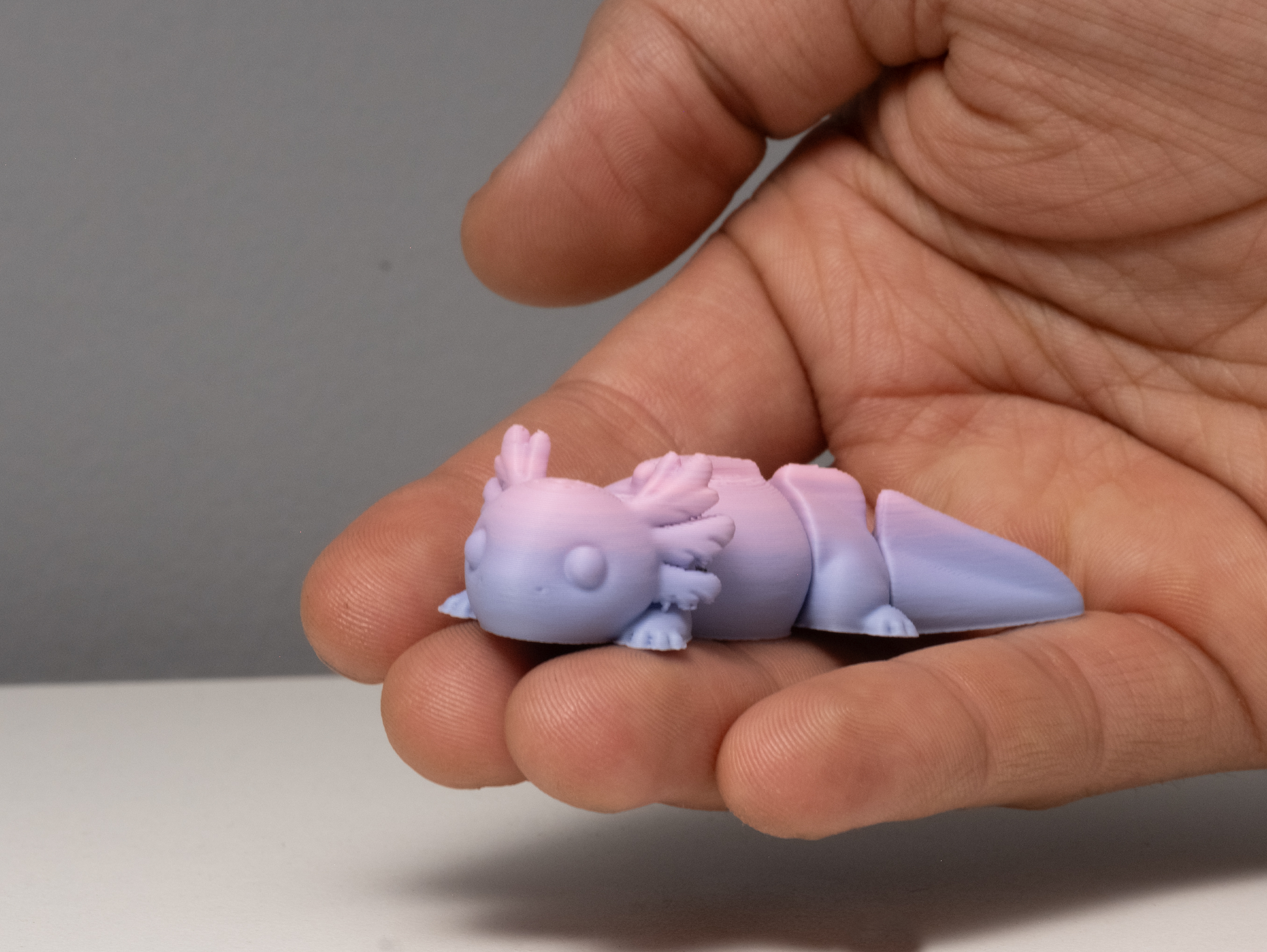Miniatura 1 do modelo 3D Cute Axolotl – Articulated