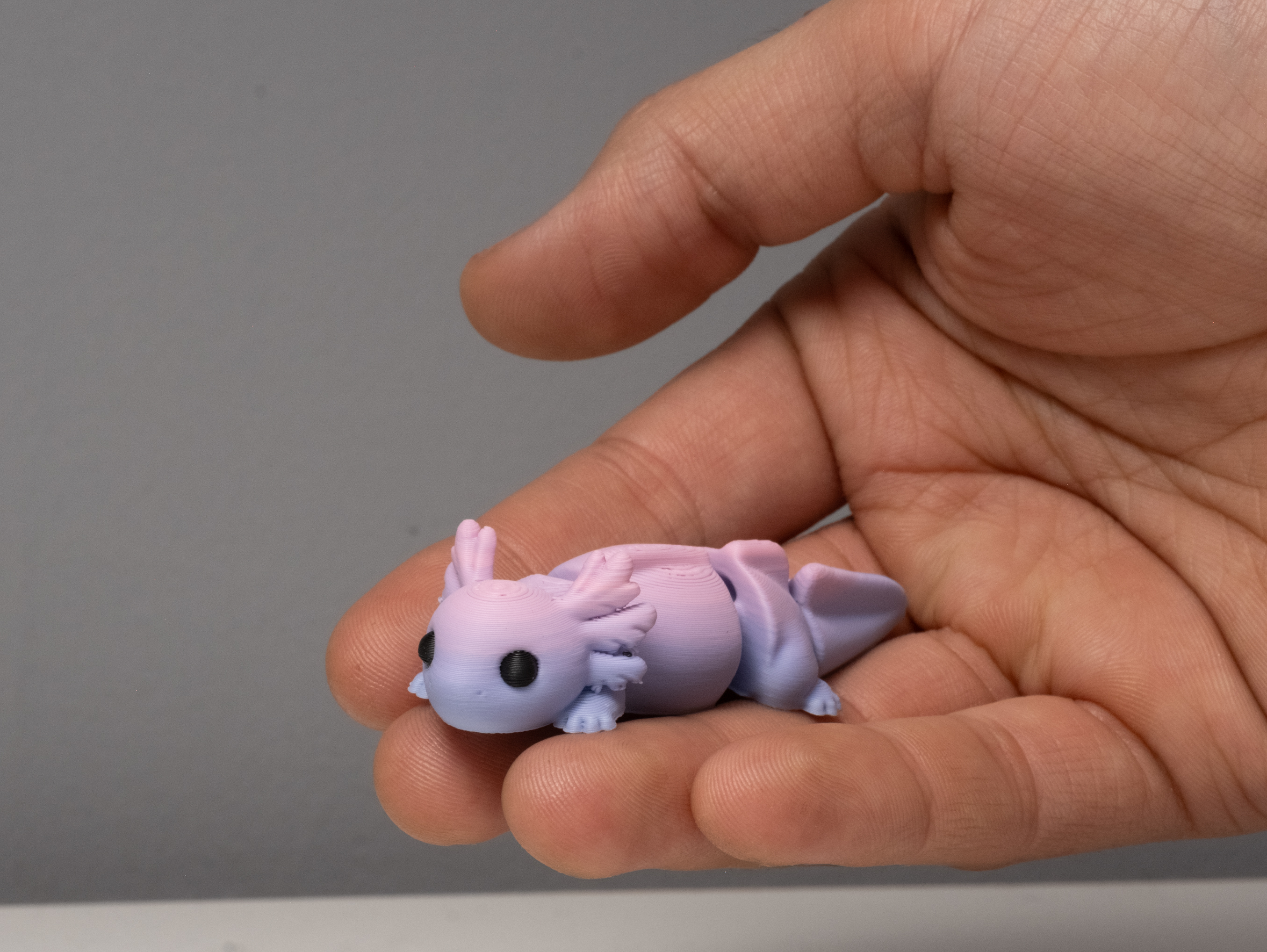Miniatura 2 do modelo 3D Cute Axolotl – Articulated