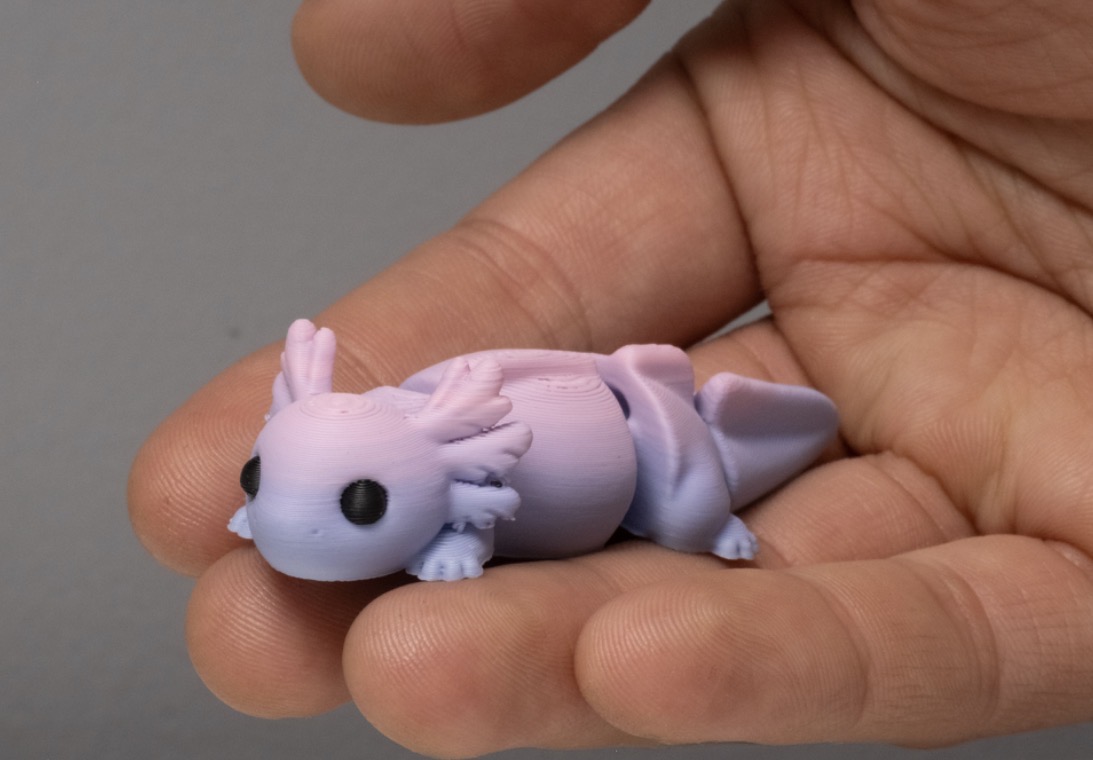 Miniatura 4 do modelo 3D Cute Axolotl – Articulated