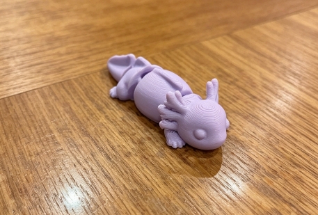 Miniatura 6 do modelo 3D Cute Axolotl – Articulated