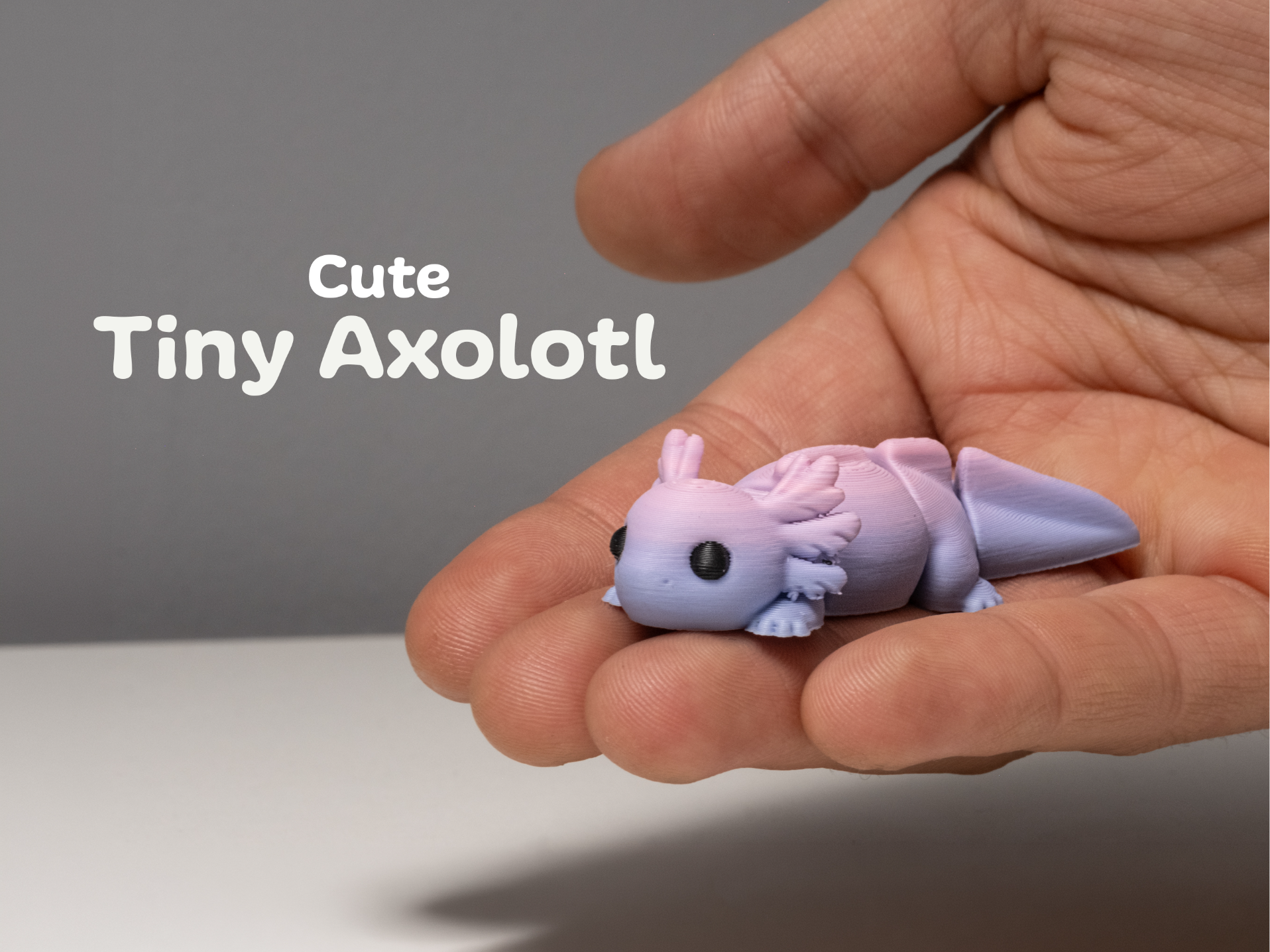 Cute Axolotl – Articulated