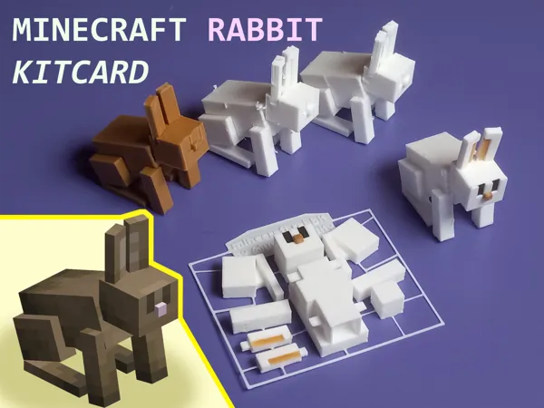 https://makerworld.bblmw.com/makerworld/model/US6c808836bdce82/design/2024-03-15_1ee246037004e.png