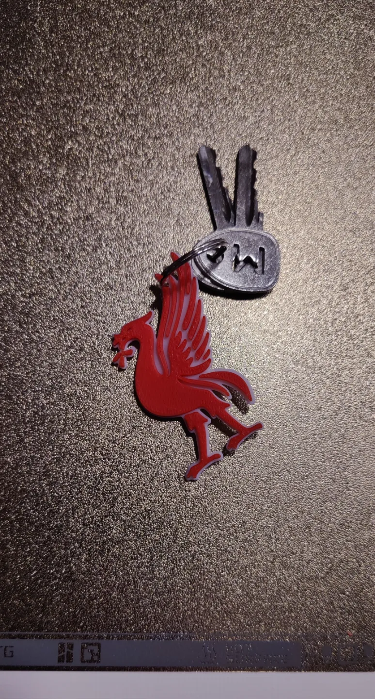 Key Chain LFC