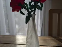 0.2mm layer, 1 walls, 0% infill, vase mode 