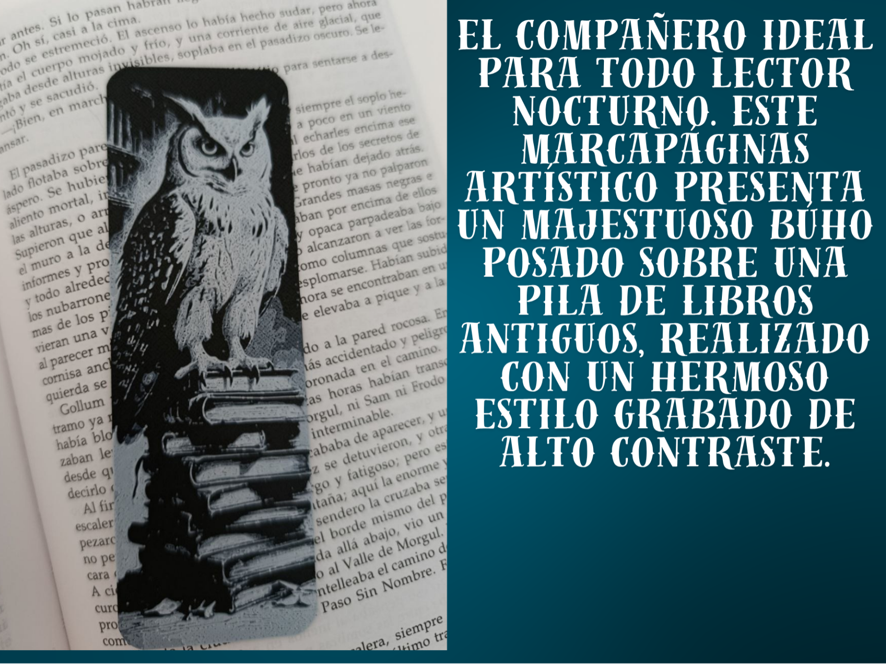 Owl & Books Bookmark