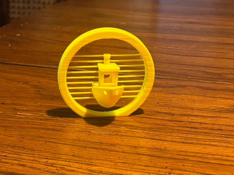 suspended benchy 
