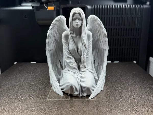 https://makerworld.bblmw.com/makerworld/model/US6c8f9422721746/design/9f75bec338d9b002.jpeg