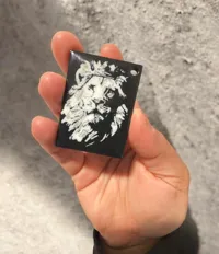 0.2mm layer, 2 walls, 15% infill