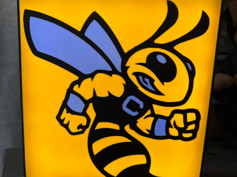 Hornets Light Box