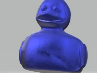Mini Duck