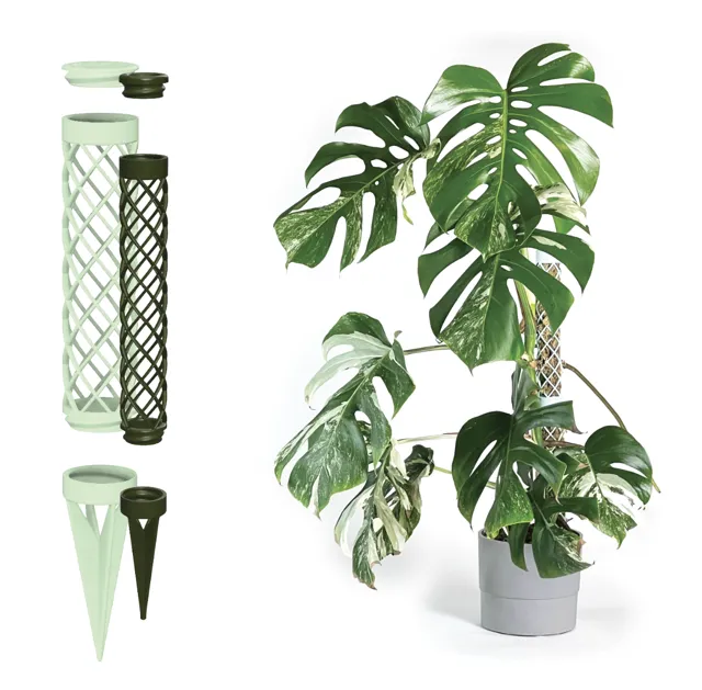 Modular Mosspole 40MM for all your houseplants