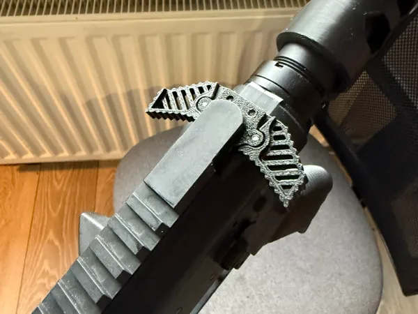 https://makerworld.bblmw.com/makerworld/model/US6ca5dcfa33f341/design/2024-12-31_db82392fb61b9.jpeg