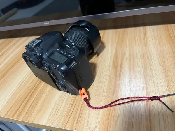 https://makerworld.bblmw.com/makerworld/model/US6cac60c435dd6a/design/2024-07-10_670e63cd768cc.jpg