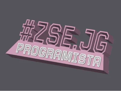 Programmer