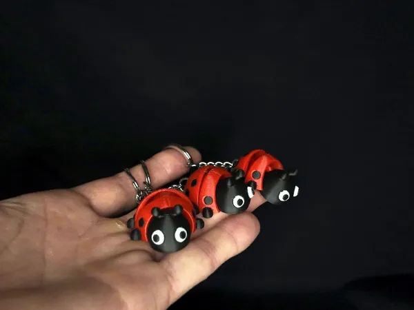 https://makerworld.bblmw.com/makerworld/model/US6cb2b083abf80b/design/67088b399cd6f3d4.jpg