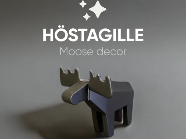 https://makerworld.bblmw.com/makerworld/model/US6cb471f53b9233/design/2025-08-27_481223c4877468.jpg