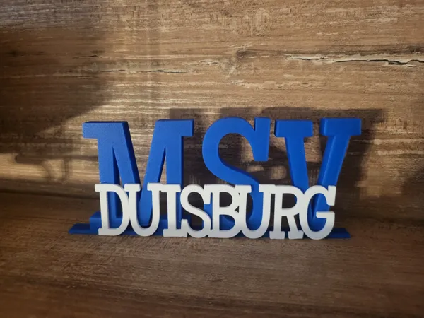 https://makerworld.bblmw.com/makerworld/model/US6cb74e60f32650/design/95721d769f7f6181.jpg