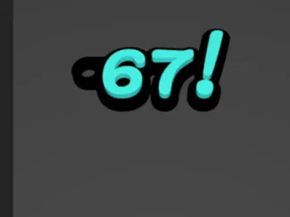 67! Keychain and fully customizable!