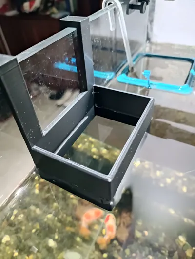 Fish tank feeder