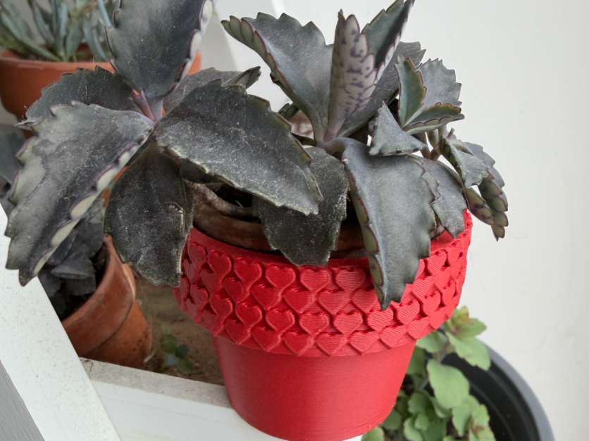 Cache-Pot "Cœurs en Cascade" pour Succulentes 
