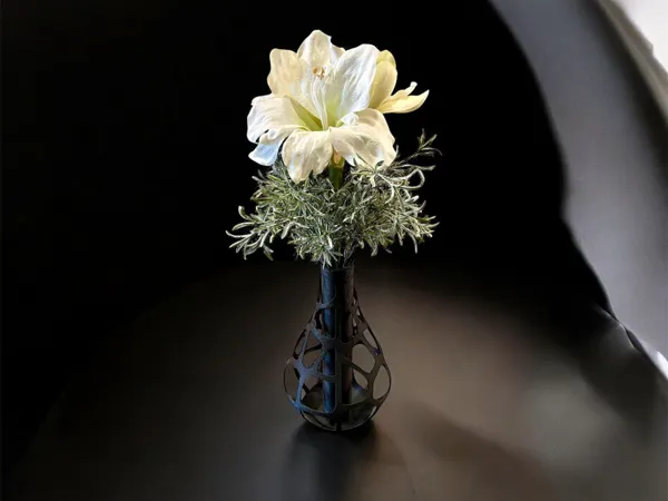 https://makerworld.bblmw.com/makerworld/model/US6cbc976f69e5fb/design/2025-10-24_92804ee6a934f8.jpg