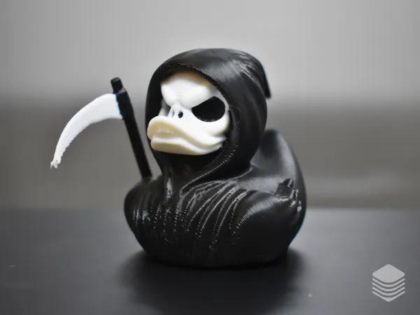 https://makerworld.bblmw.com/makerworld/model/US6cc039eb20e018/design/2025-01-17_ab4e08a09ed98.png