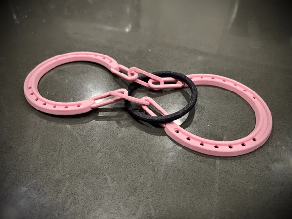 https://makerworld.bblmw.com/makerworld/model/US6cc0a97b38fde8/design/2024-09-12_4d7e2996050578.jpg