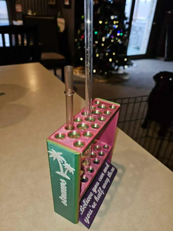 https://makerworld.bblmw.com/makerworld/model/US6cc156301f7129/design/2023-12-26_2d065cc1bd164.jpg