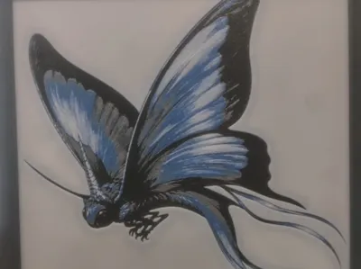 Carrier Butterfly Hueforge