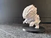 0.12mm layer, 2 walls, 15% infill