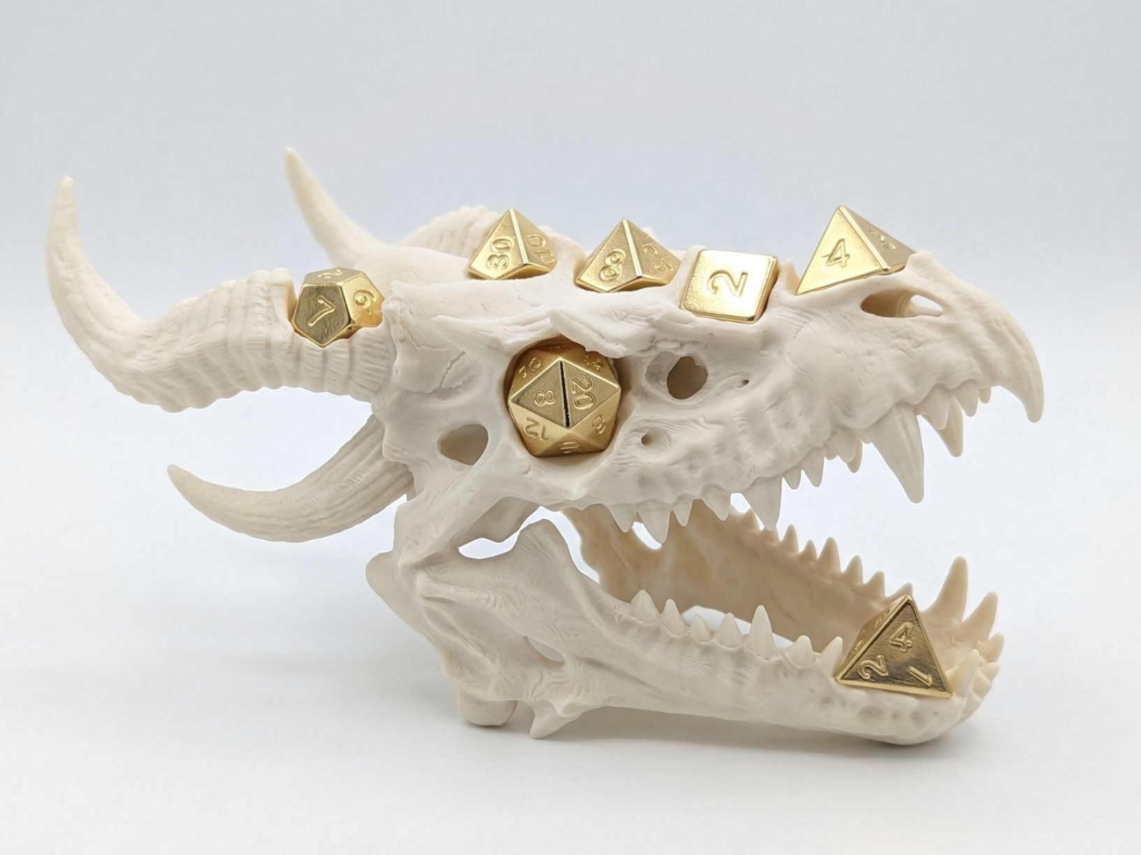 Dice Display Ancient Dragon Skull 