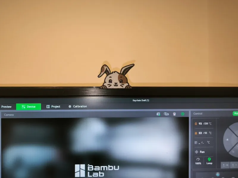 Monitor peekaboo bunny