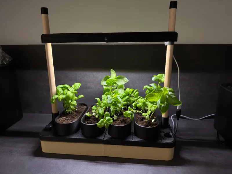 Indoor Garden 
