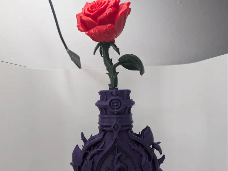 The Rose That Drank the Spell