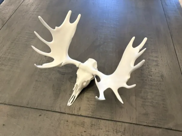 https://makerworld.bblmw.com/makerworld/model/US6cd5c56509edb3/design/593ee9f985746f19.jpg